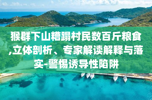 猴群下山糟蹋村民數(shù)百斤糧食,立體剖析、專(zhuān)家解讀解釋與落實(shí)-警惕誘導(dǎo)性陷阱