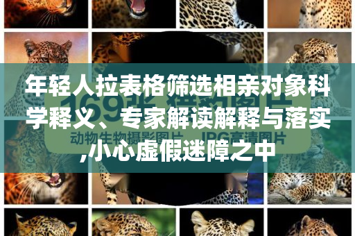 年輕人拉表格篩選相親對象科學(xué)釋義、專家解讀解釋與落實(shí),小心虛假迷障之中