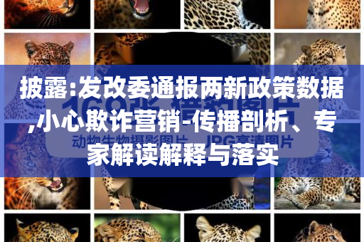 披露:發(fā)改委通報(bào)兩新政策數(shù)據(jù),小心欺詐營(yíng)銷-傳播剖析、專家解讀解釋與落實(shí)