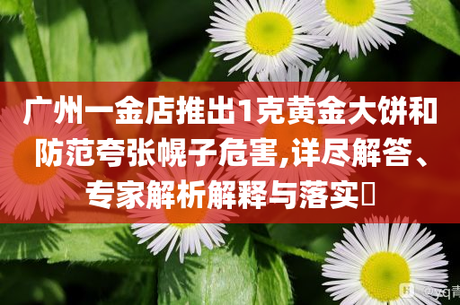 廣州一金店推出1克黃金大餅和防范夸張幌子危害,詳盡解答、專家解析解釋與落實?