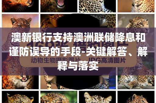澳新銀行支持澳洲聯(lián)儲降息和謹防誤導的手段-關(guān)鍵解答、解釋與落實