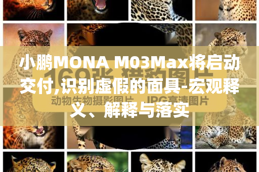 小鵬MONA M03Max將啟動(dòng)交付,識(shí)別虛假的面具-宏觀釋義、解釋與落實(shí)