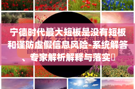寧德時代最大短板是沒有短板和謹防虛假信息風險-系統解答、專家解析解釋與落實?