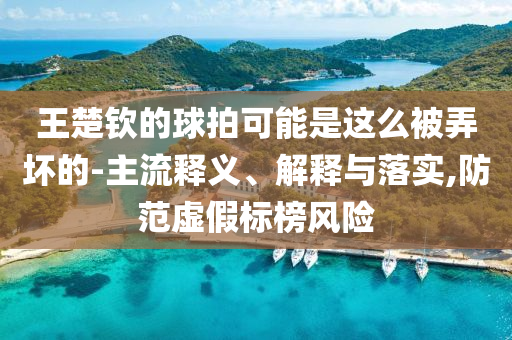 王楚欽的球拍可能是這么被弄壞的-主流釋義、解釋與落實,防范虛假標(biāo)榜風(fēng)險