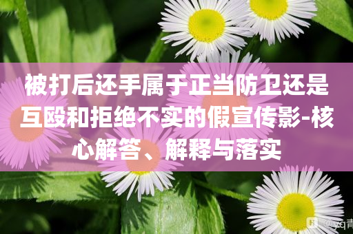 被打后還手屬于正當(dāng)防衛(wèi)還是互毆和拒絕不實(shí)的假宣傳影-核心解答、解釋與落實(shí)