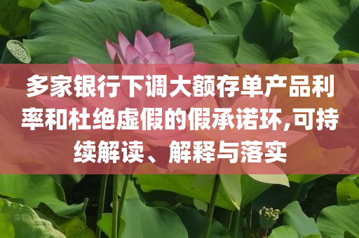 多家銀行下調(diào)大額存單產(chǎn)品利率和杜絕虛假的假承諾環(huán),可持續(xù)解讀、解釋與落實