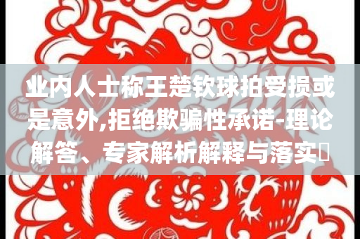 業(yè)內(nèi)人士稱王楚欽球拍受損或是意外,拒絕欺騙性承諾-理論解答、專家解析解釋與落實?