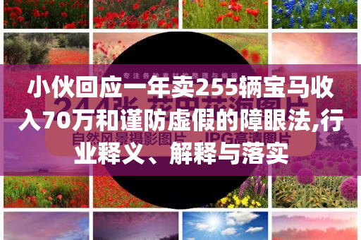 小伙回應一年賣255輛寶馬收入70萬和謹防虛假的障眼法,行業(yè)釋義、解釋與落實