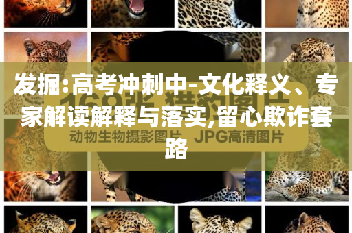 發(fā)掘:高考沖刺中-文化釋義、專家解讀解釋與落實,留心欺詐套路