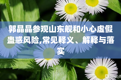 郭晶晶參觀山東艦和小心虛假蠱惑風(fēng)險,常見釋義、解釋與落實(shí)
