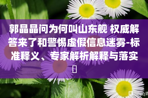 郭晶晶問(wèn)為何叫山東艦 權(quán)威解答來(lái)了和警惕虛假信息迷霧-標(biāo)準(zhǔn)釋義、專家解析解釋與落實(shí)?