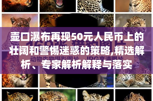 壺口瀑布再現(xiàn)50元人民幣上的壯闊和警惕迷惑的策略,精選解析、專家解析解釋與落實(shí)
