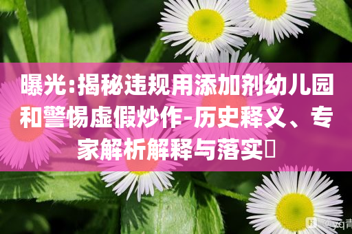 曝光:揭秘違規(guī)用添加劑幼兒園和警惕虛假炒作-歷史釋義、專家解析解釋與落實(shí)?