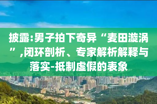 披露:男子拍下奇異“麥田漩渦”,閉環(huán)剖析、專(zhuān)家解析解釋與落實(shí)-抵制虛假的表象