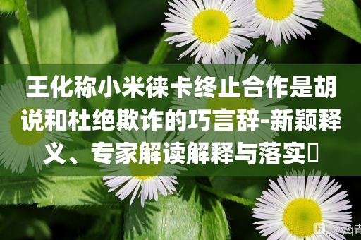 王化稱小米徠卡終止合作是胡說和杜絕欺詐的巧言辭-新穎釋義、專家解讀解釋與落實(shí)?