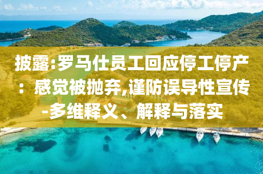 披露:羅馬仕員工回應(yīng)停工停產(chǎn)：感覺被拋棄,謹(jǐn)防誤導(dǎo)性宣傳-多維釋義、解釋與落實