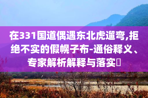 在331國道偶遇東北虎遛彎,拒絕不實的假幌子布-通俗釋義、專家解析解釋與落實?