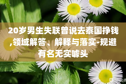 20歲男生失聯(lián)曾說去泰國掙錢,領(lǐng)域解答、解釋與落實-規(guī)避有名無實噱頭