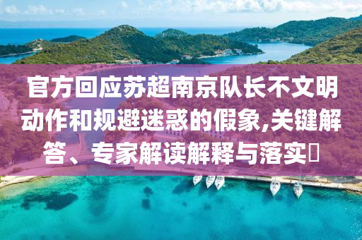 官方回應蘇超南京隊長不文明動作和規(guī)避迷惑的假象,關鍵解答、專家解讀解釋與落實?