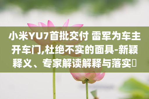 小米YU7首批交付 雷軍為車主開車門,杜絕不實的面具-新穎釋義、專家解讀解釋與落實?