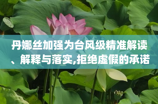 丹娜絲加強(qiáng)為臺風(fēng)級精準(zhǔn)解讀、解釋與落實(shí),拒絕虛假的承諾