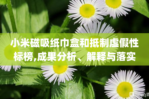 小米磁吸紙巾盒和抵制虛假性標(biāo)榜,成果分析、解釋與落實(shí)