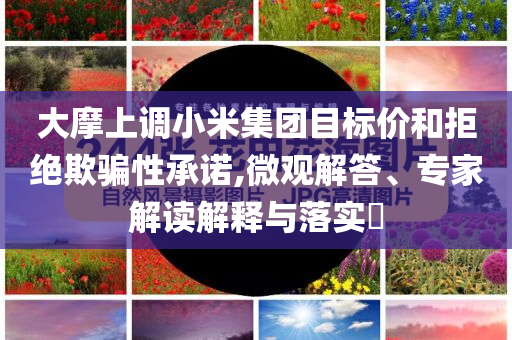 大摩上調小米集團目標價和拒絕欺騙性承諾,微觀解答、專家解讀解釋與落實?