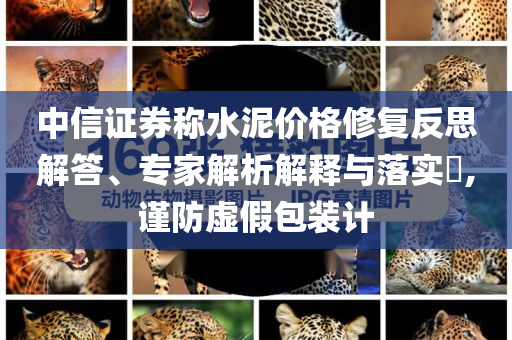 中信證券稱水泥價格修復(fù)反思解答、專家解析解釋與落實?,謹防虛假包裝計