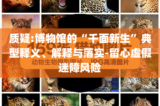 質(zhì)疑:博物館的“千面新生”典型釋義、解釋與落實-留心虛假迷障風險