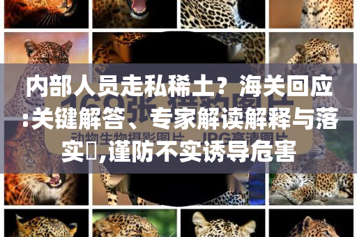 內(nèi)部人員走私稀土？海關(guān)回應(yīng):關(guān)鍵解答、專家解讀解釋與落實?,謹(jǐn)防不實誘導(dǎo)危害