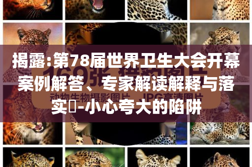 揭露:第78屆世界衛(wèi)生大會開幕案例解答、專家解讀解釋與落實?-小心夸大的陷阱