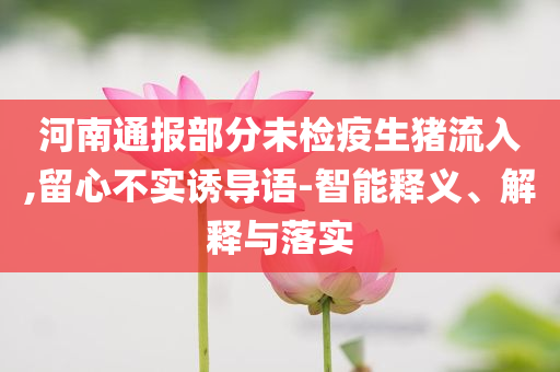 河南通報部分未檢疫生豬流入,留心不實誘導語-智能釋義、解釋與落實