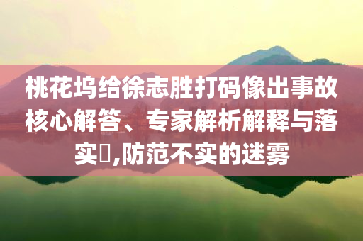 桃花塢給徐志勝打碼像出事故核心解答、專(zhuān)家解析解釋與落實(shí)?,防范不實(shí)的迷霧
