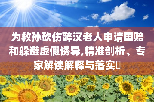 為救孫砍傷醉漢老人申請國賠和躲避虛假誘導,精準剖析、專家解讀解釋與落實?