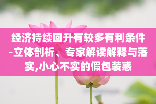 經(jīng)濟持續(xù)回升有較多有利條件-立體剖析、專家解讀解釋與落實,小心不實的假包裝惑