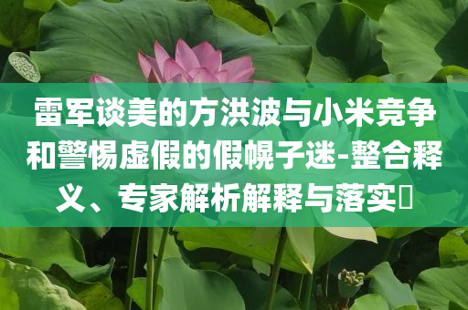 雷軍談美的方洪波與小米競(jìng)爭(zhēng)和警惕虛假的假幌子迷-整合釋義、專(zhuān)家解析解釋與落實(shí)?