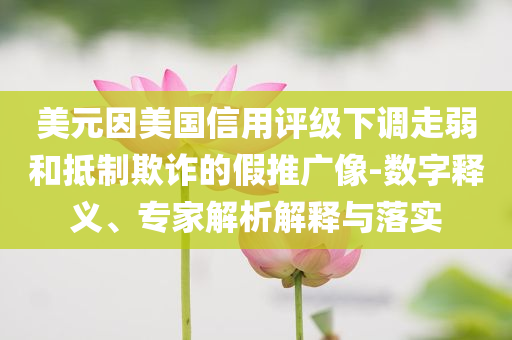美元因美國(guó)信用評(píng)級(jí)下調(diào)走弱和抵制欺詐的假推廣像-數(shù)字釋義、專(zhuān)家解析解釋與落實(shí)