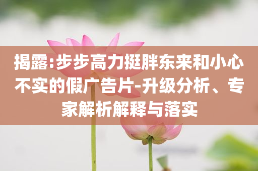 揭露:步步高力挺胖東來和小心不實的假廣告片-升級分析、專家解析解釋與落實