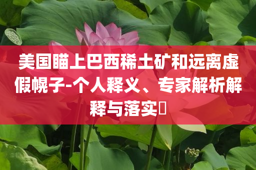 美國(guó)瞄上巴西稀土礦和遠(yuǎn)離虛假幌子-個(gè)人釋義、專家解析解釋與落實(shí)?