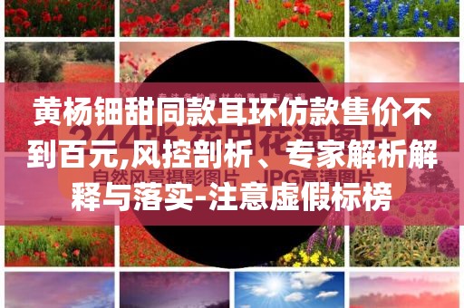 黃楊鈿甜同款耳環(huán)仿款售價不到百元,風(fēng)控剖析、專家解析解釋與落實-注意虛假標(biāo)榜