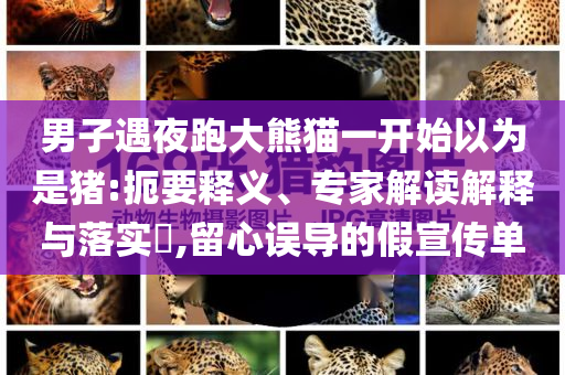 男子遇夜跑大熊貓一開始以為是豬:扼要釋義、專家解讀解釋與落實?,留心誤導(dǎo)的假宣傳單