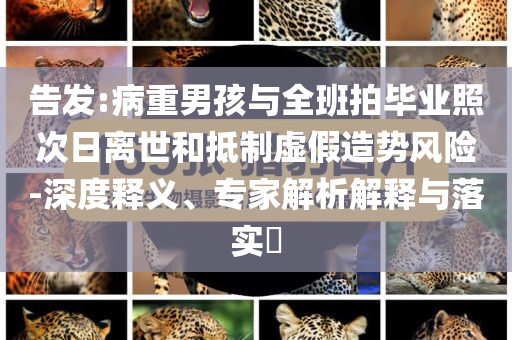 告發(fā):病重男孩與全班拍畢業(yè)照次日離世和抵制虛假造勢風(fēng)險-深度釋義、專家解析解釋與落實?