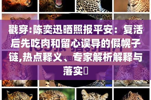 戳穿:陳奕迅曬照?qǐng)?bào)平安：復(fù)活后先吃肉和留心誤導(dǎo)的假幌子鏈,熱點(diǎn)釋義、專家解析解釋與落實(shí)?