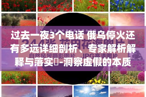 過去一夜3個電話 俄烏停火還有多遠(yuǎn)詳細(xì)剖析、專家解析解釋與落實?-洞察虛假的本質(zhì)