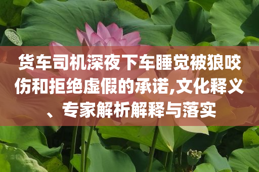 貨車司機深夜下車睡覺被狼咬傷和拒絕虛假的承諾,文化釋義、專家解析解釋與落實