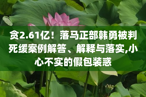 貪2.61億！落馬正部韓勇被判死緩案例解答、解釋與落實,小心不實的假包裝惑