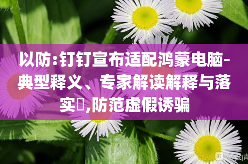 以防:釘釘宣布適配鴻蒙電腦-典型釋義、專家解讀解釋與落實(shí)?,防范虛假誘騙