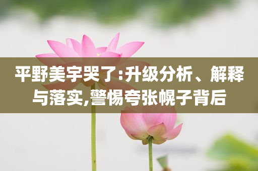 平野美宇哭了:升級(jí)分析、解釋與落實(shí),警惕夸張幌子背后