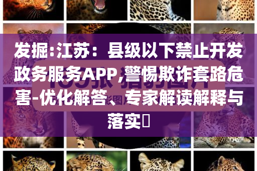 發(fā)掘:江蘇：縣級以下禁止開發(fā)政務(wù)服務(wù)APP,警惕欺詐套路危害-優(yōu)化解答、專家解讀解釋與落實?