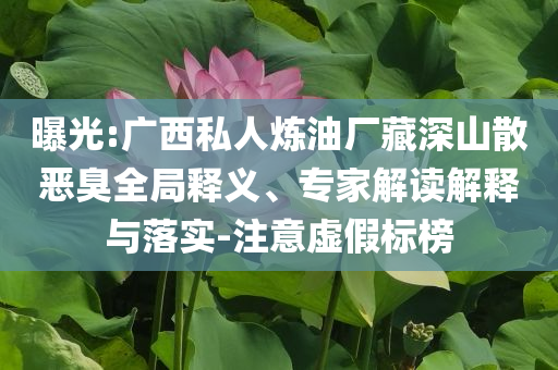曝光:廣西私人煉油廠藏深山散惡臭全局釋義、專家解讀解釋與落實(shí)-注意虛假標(biāo)榜